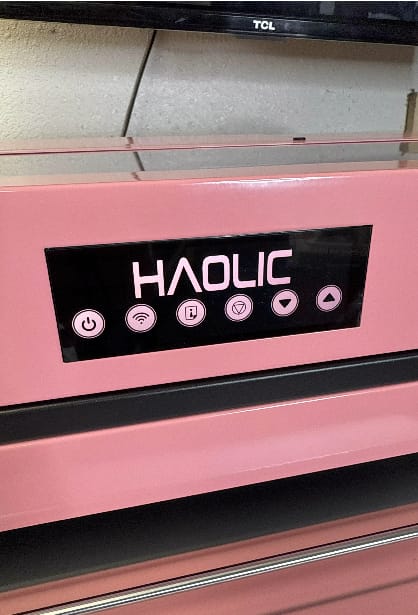 Customer photo review of Haolic Mini D8 DTF Printer 13" | Compact Direct-to-Film Printer for Small Business & Home Use