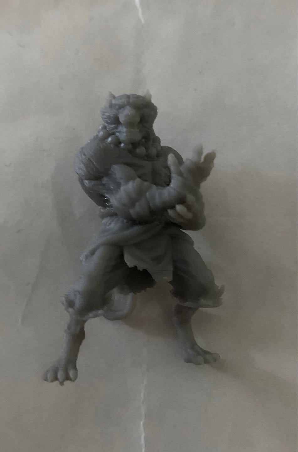 Customer photo review of Tabaxi Monk, Male