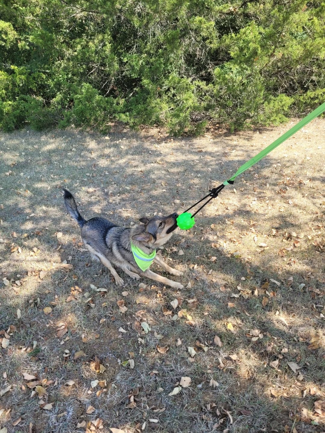 Customer photo review of FlexiPop™ - Juguete Bungee Interactivo