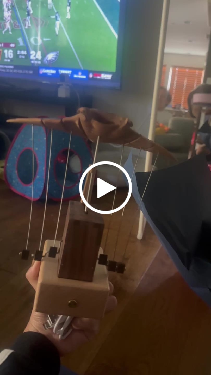 Customer video review of MarinerPoet Handcrafted Wooden Manta Ray Automaton