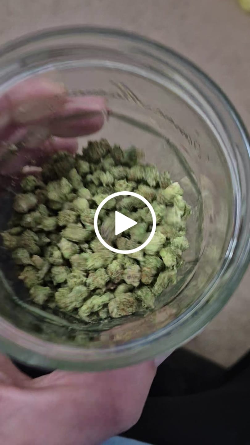 Customer video review of 1 Oz Cheap THCA Small Buds