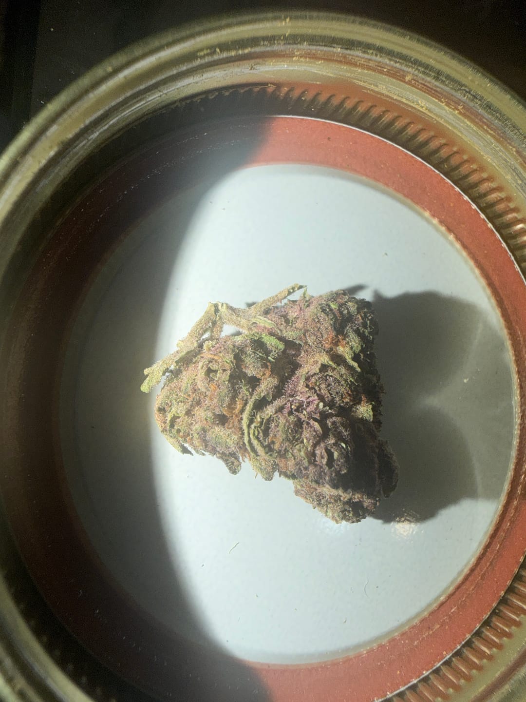 Customer photo review of Tropicana Cherry THCA Flower