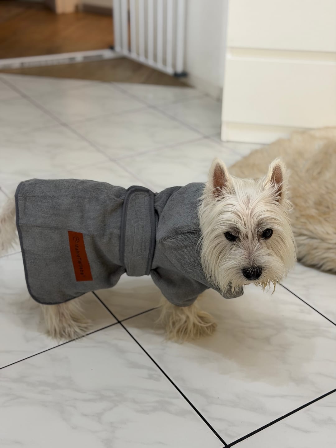 Customer photo review of Premium Hunde Bademantel