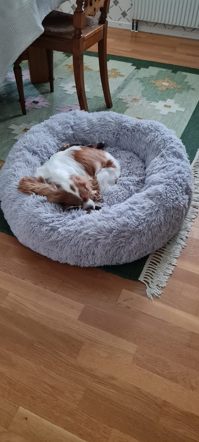 Customer photo review of CalmBed