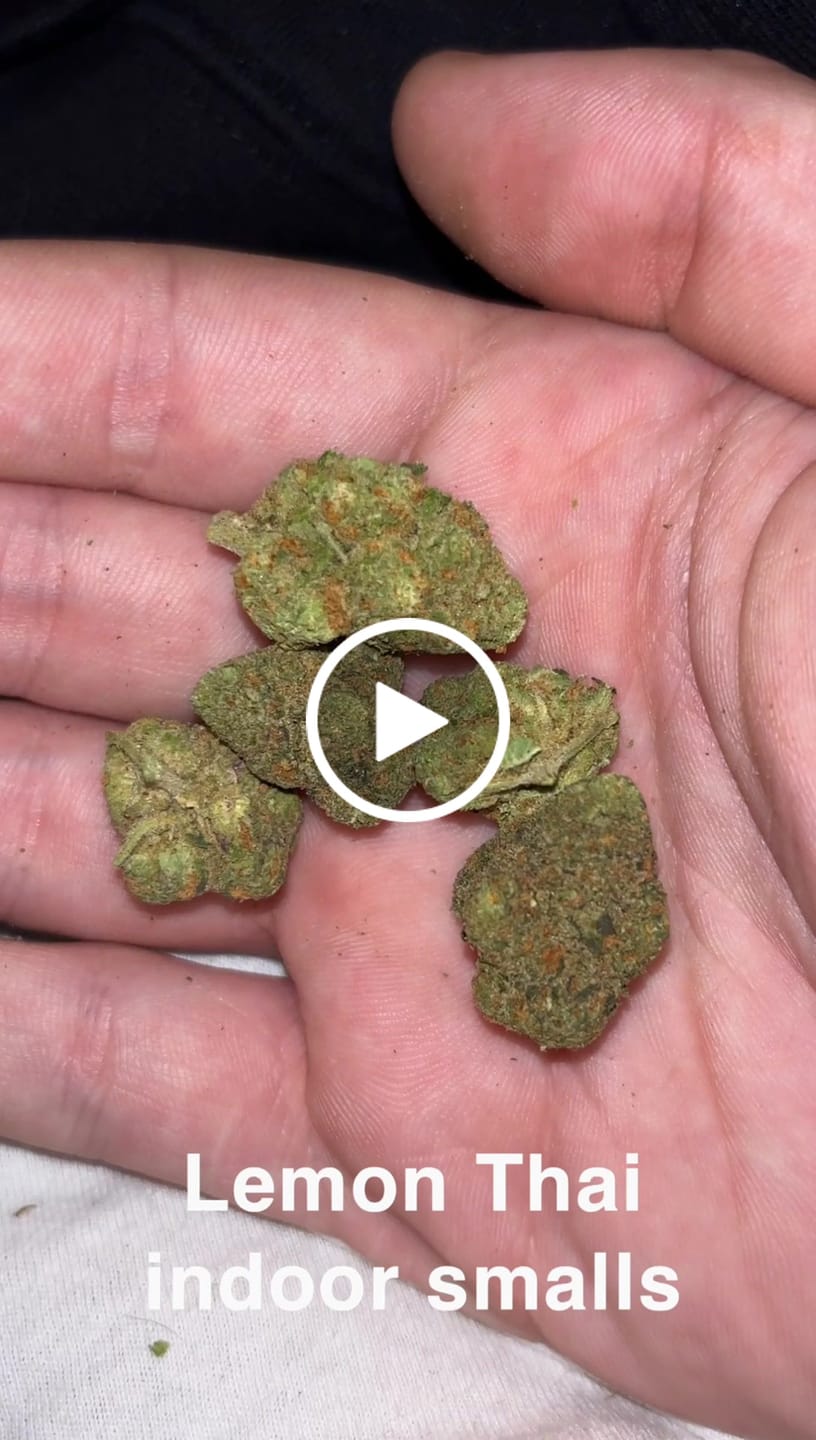 Customer video review of Bulk Indoor THCA Smalls