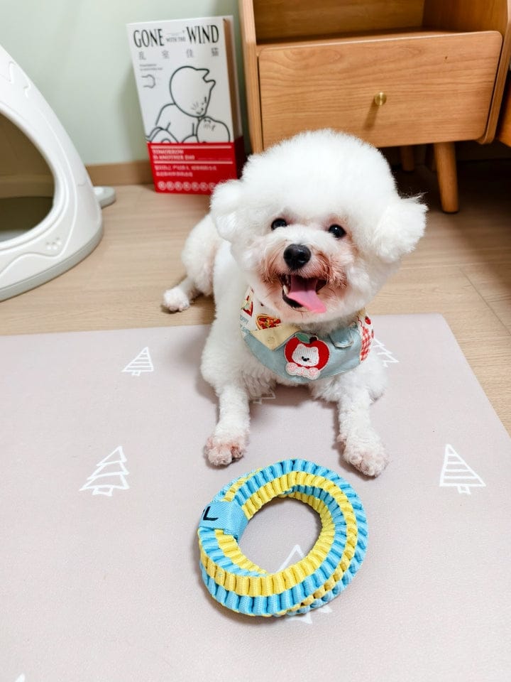 Customer photo review of Teeth Cleaning Ring