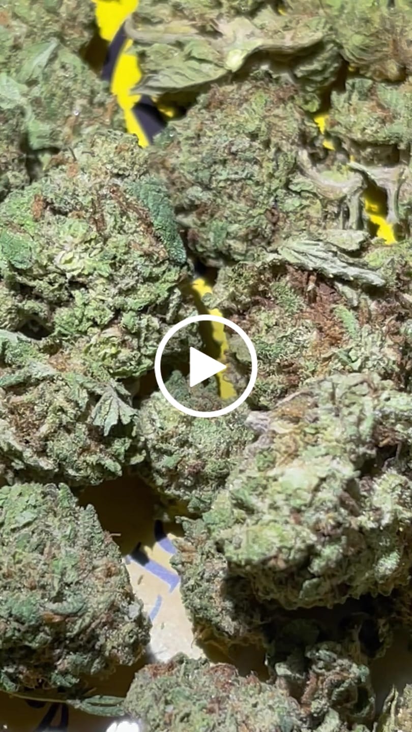 Customer video review of Gorilla Glue THCA Flower