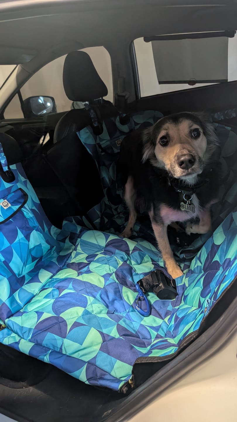Customer photo review of Milos - Dog Car Seat Cover
