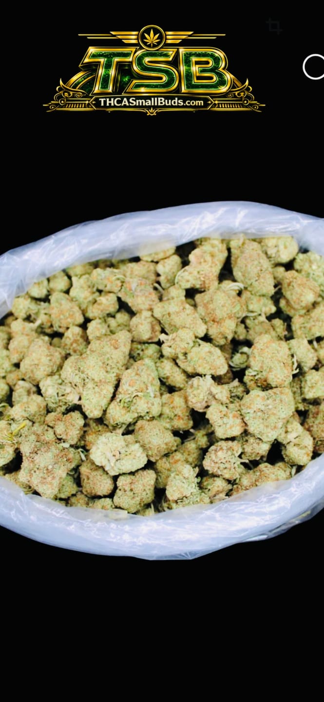 Customer photo review of Acapulco Punch THCA Flower