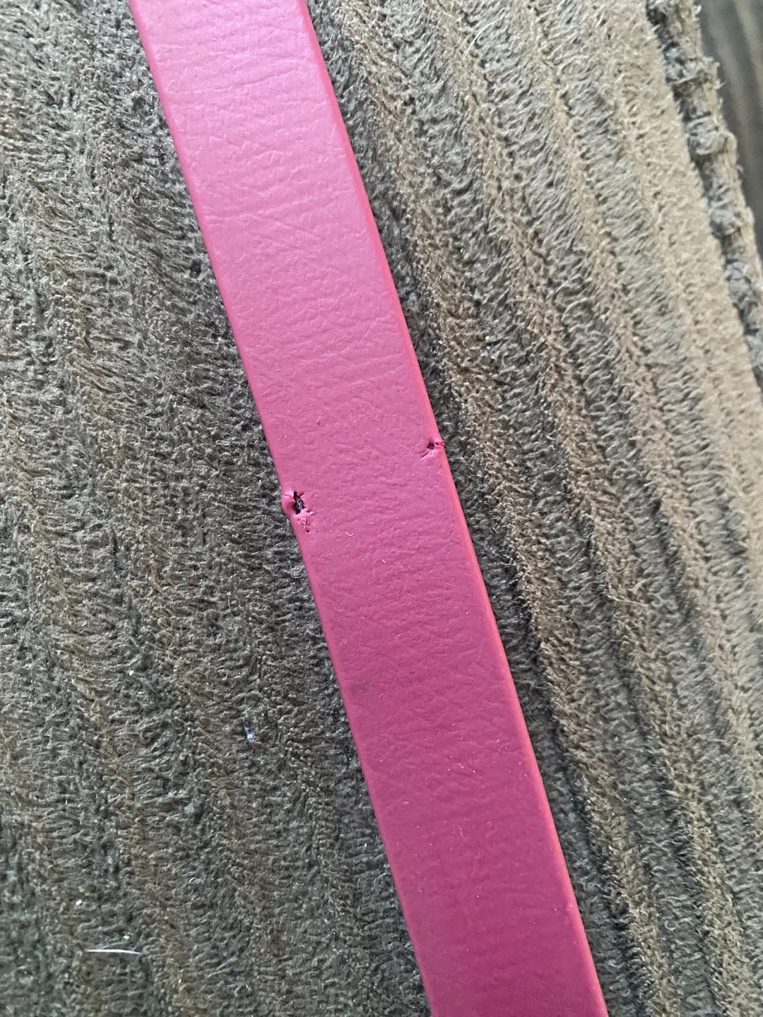 Customer photo review of Waterproof Two-Tone Multi Way Dog Leash | Built with BioThane®
