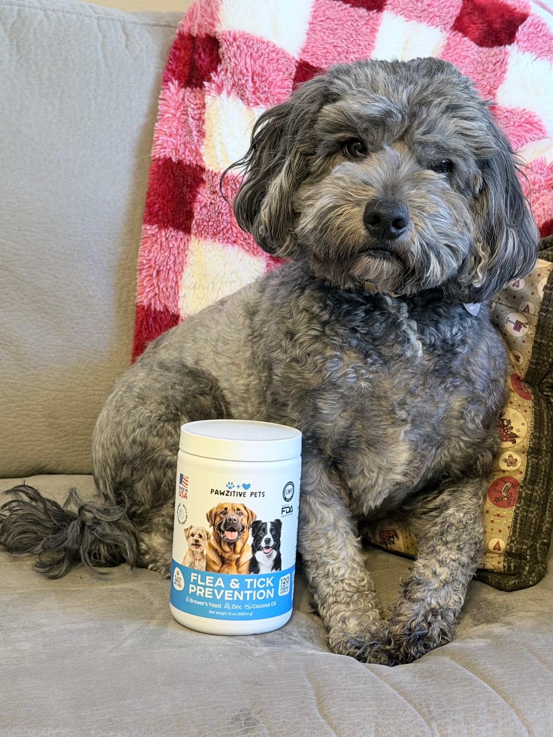 Customer photo review of Dog Flea and Tick Prevention for Outdoor & Seasonal Protection – Skin & Coat Support, 120 Soft Chews (Beef Flavor)