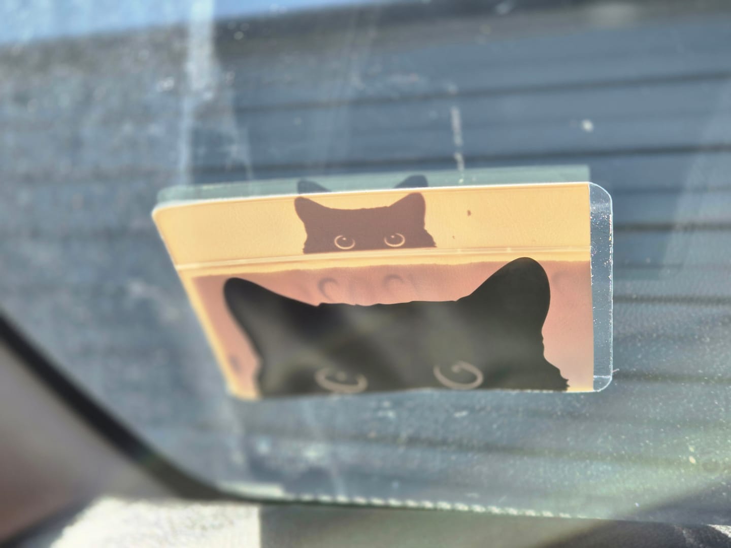 Customer photo review of Peek-a-cat