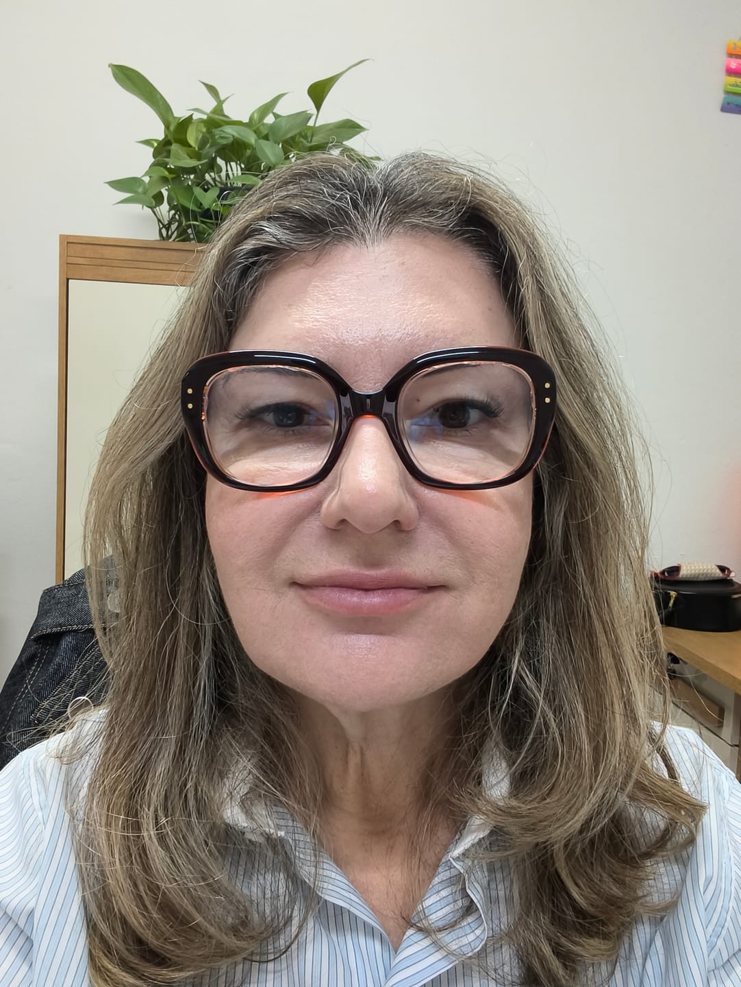 Customer photo review of Positano Acetato Clip-On Polarizado 2 em 1