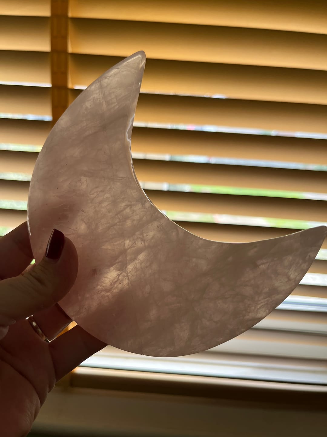 Customer photo review of Ultimate Bargain Scoop