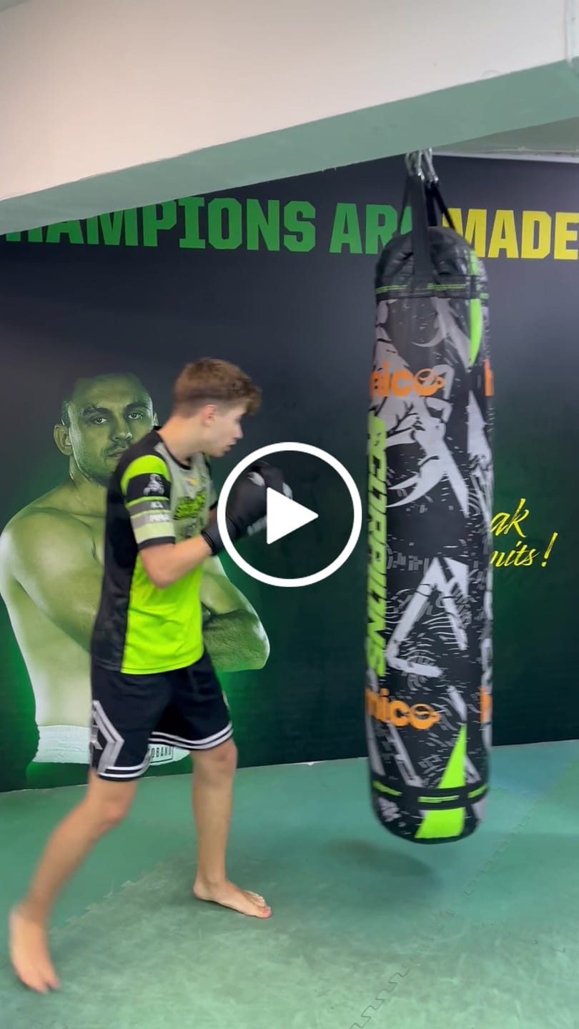 Customer video review of Manusi Box Knockout SBG