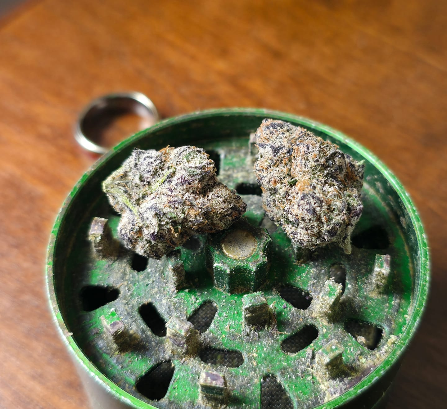 Customer photo review of Bacio Gelato 17 Grams