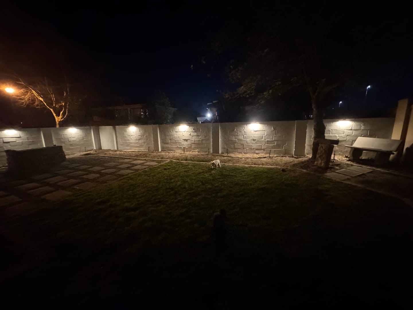 Customer photo review of Solar Wall Light with Motion Sensor