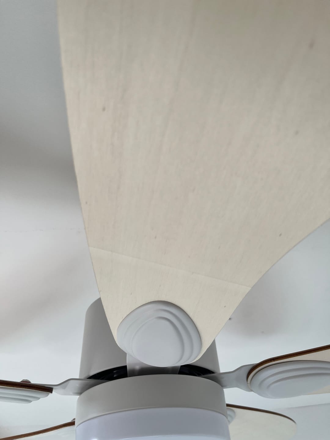 Customer photo review of Libellule | Ventilateur de plafond