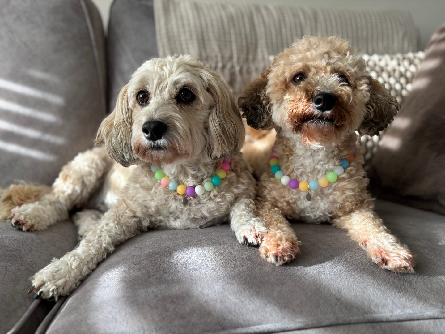 Customer photo review of Glow In The Dark Silicon Dog Necklace