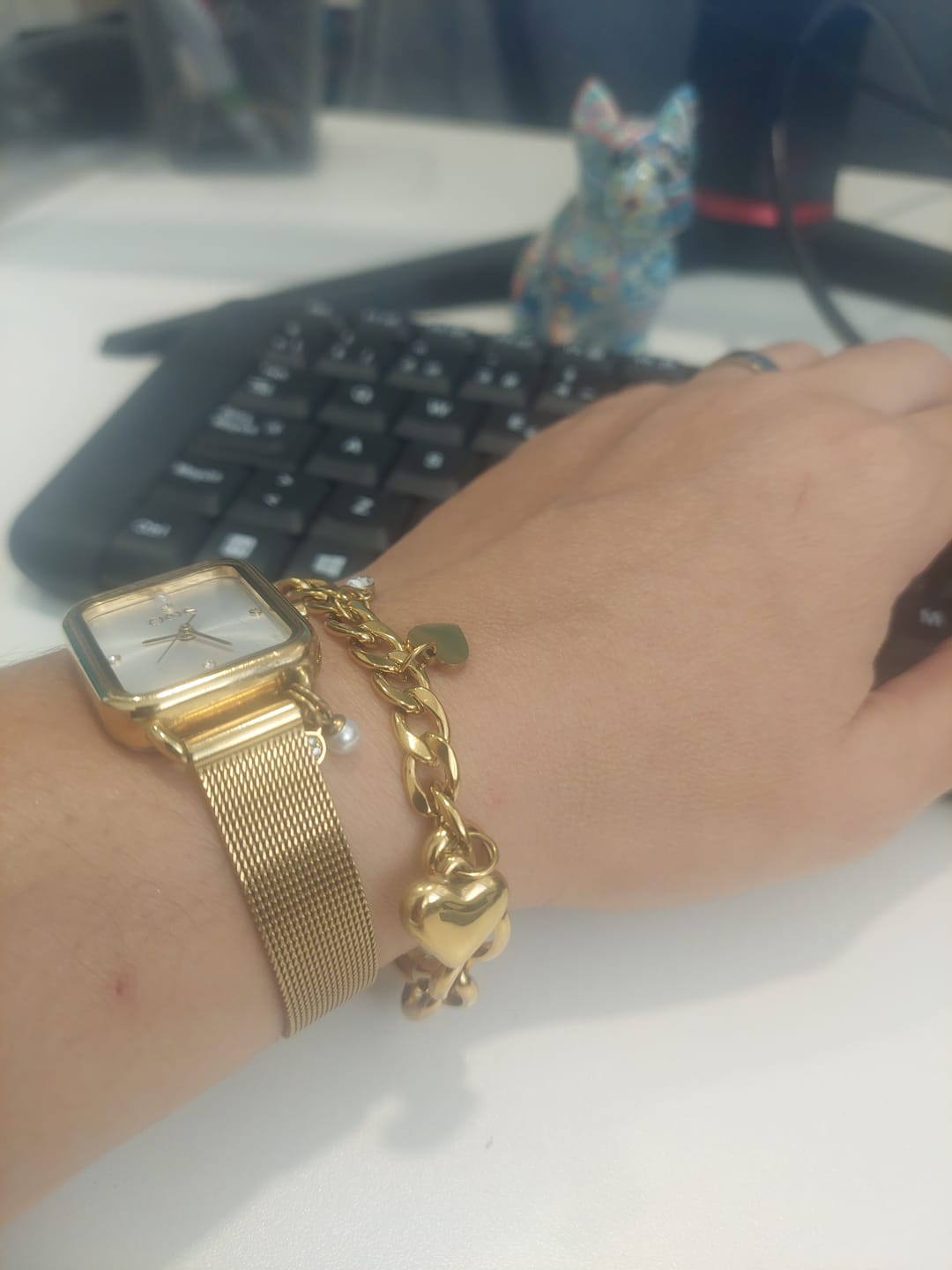 Customer photo review of LOWENT