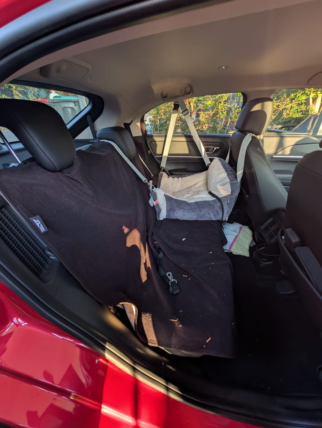 Customer photo review of Waterproof Backseat Car Towel Seat Cover