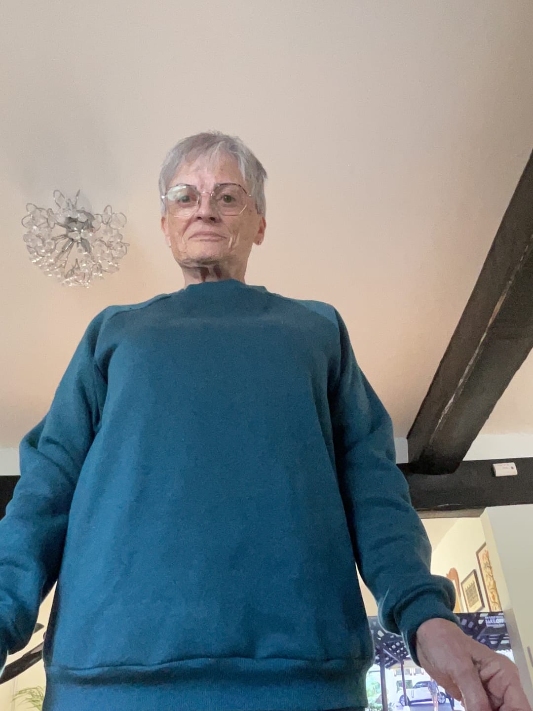 Customer photo review of Plain Sweatshirt Fabric