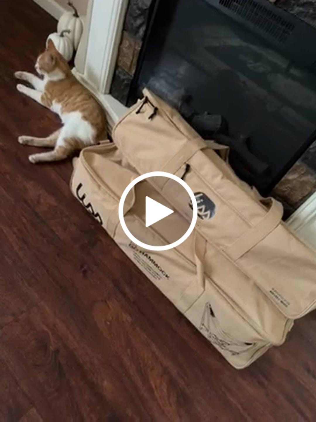 Customer video review of The Go Hammock (Pre-sale)