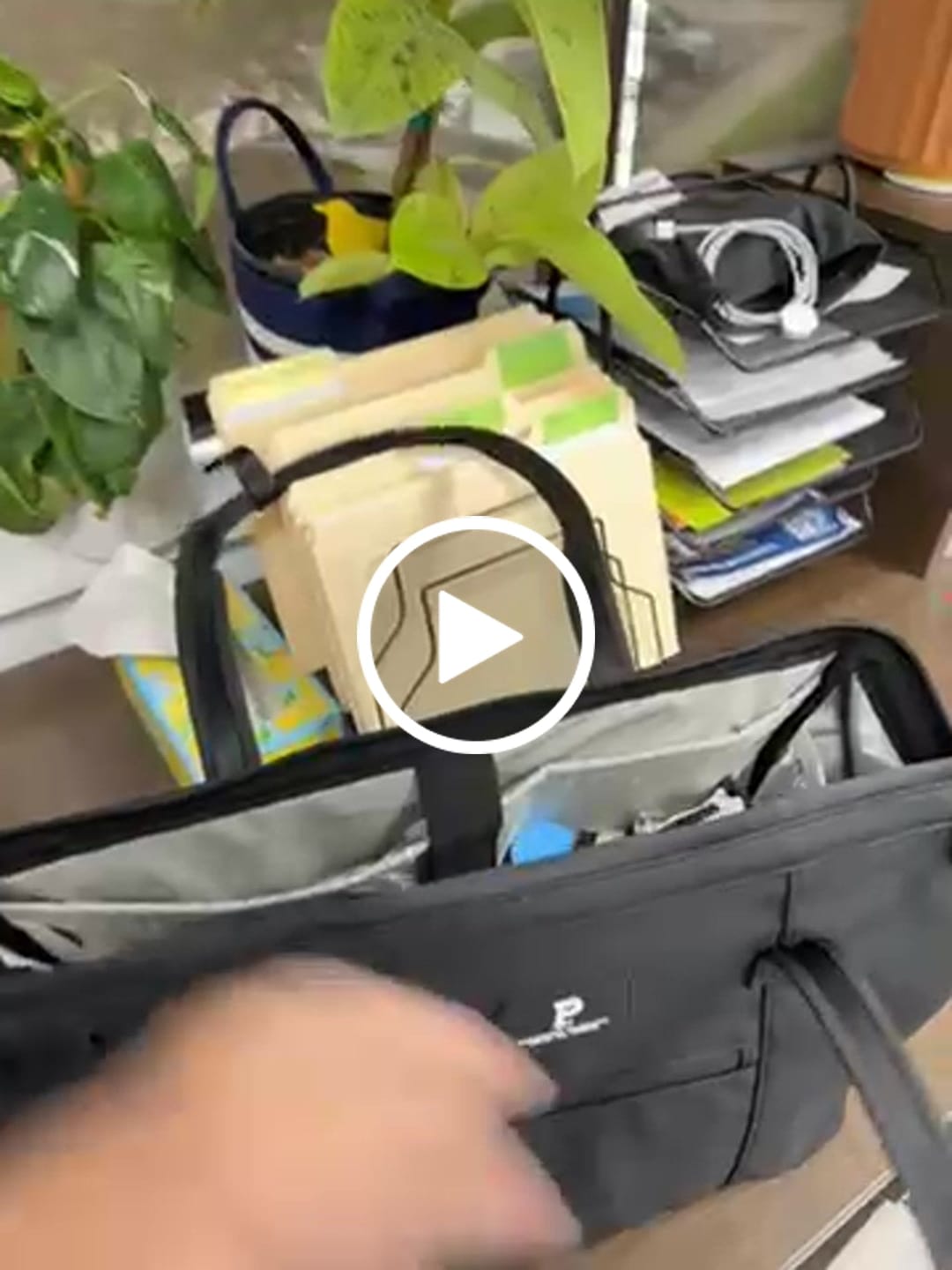 Customer video review of Cascade Tote - Standard