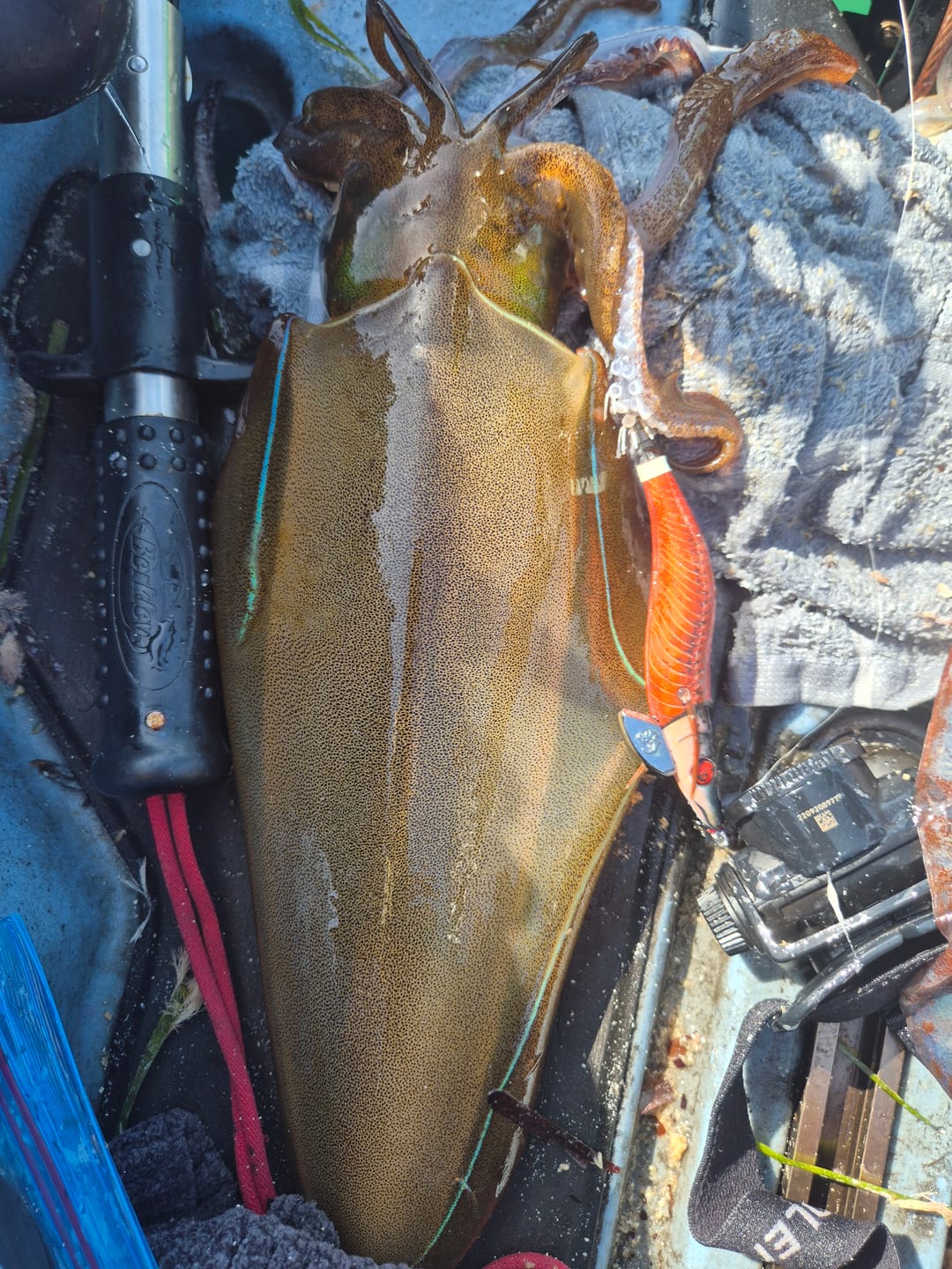 Customer photo review of Tuna Flesh and Bone