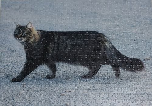 Customer photo review of Custom Jigsaw Puzzle From Photo 200, 300, 500, 1000, 1500, 2000 Piece Jigsaw