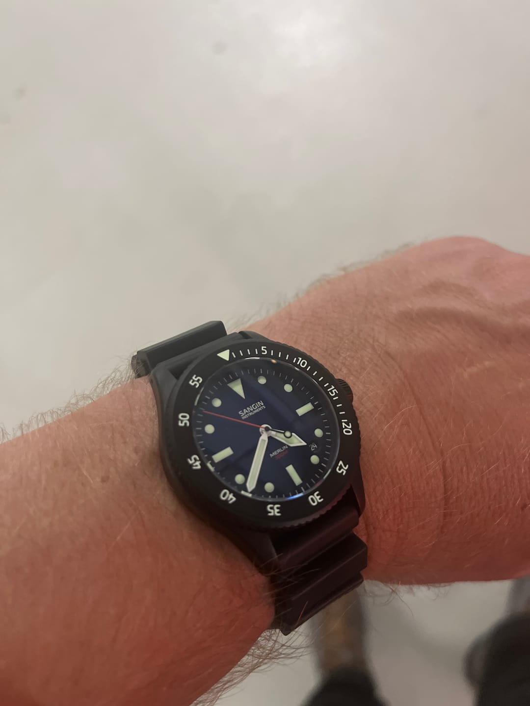 Customer photo review of Merlin (Private Release)