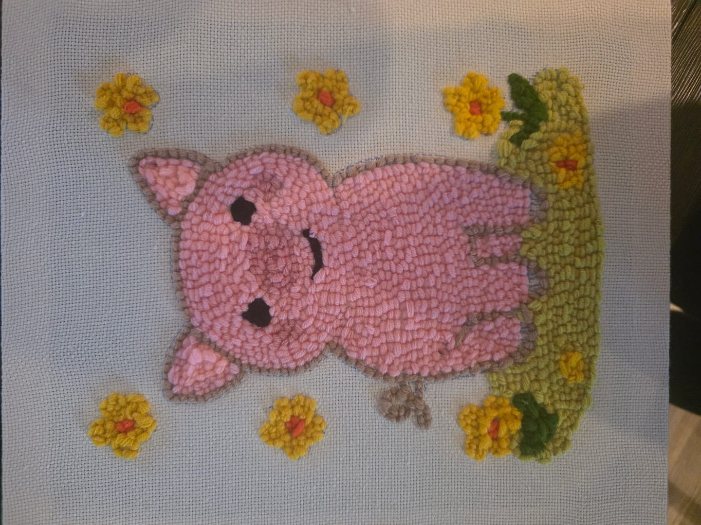 Customer photo review of Sunny Piglet