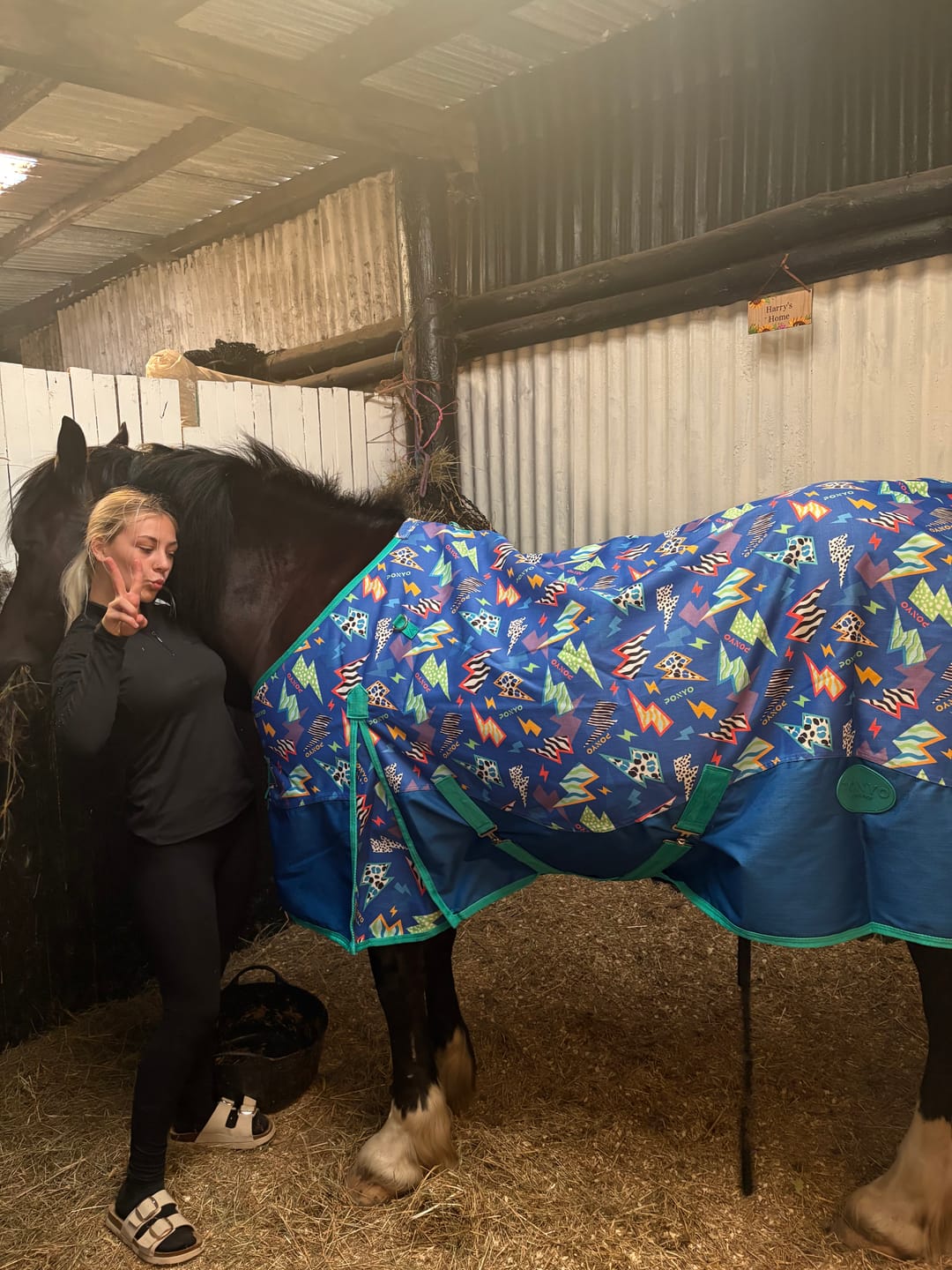 Customer photo review of Thunderstruck Turnout Rug