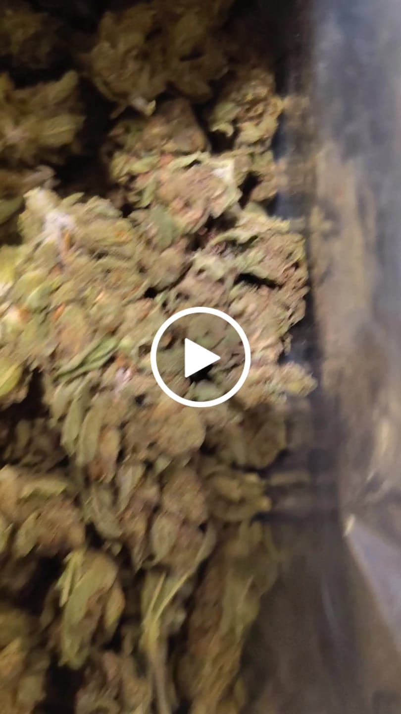 Customer video review of Cheap THCA Flower Pound