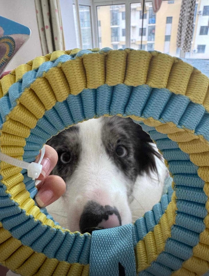 Customer photo review of Teeth Cleaning Ring