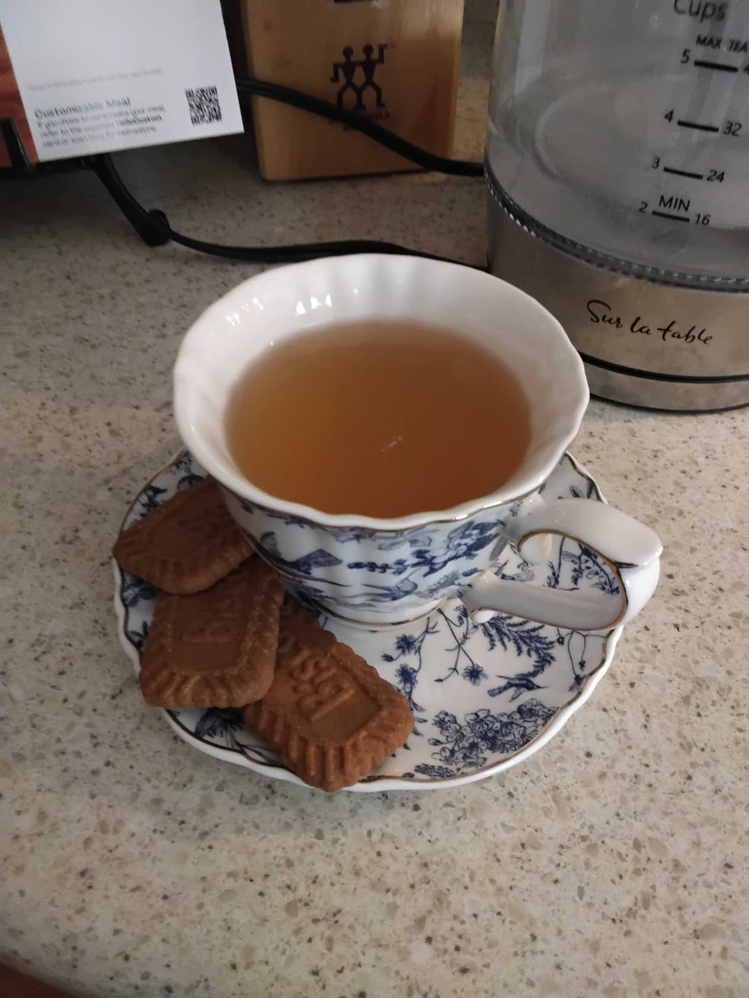 Customer photo review of Blue Bird Toile Fine Porcelain Tea Cup and Saucer