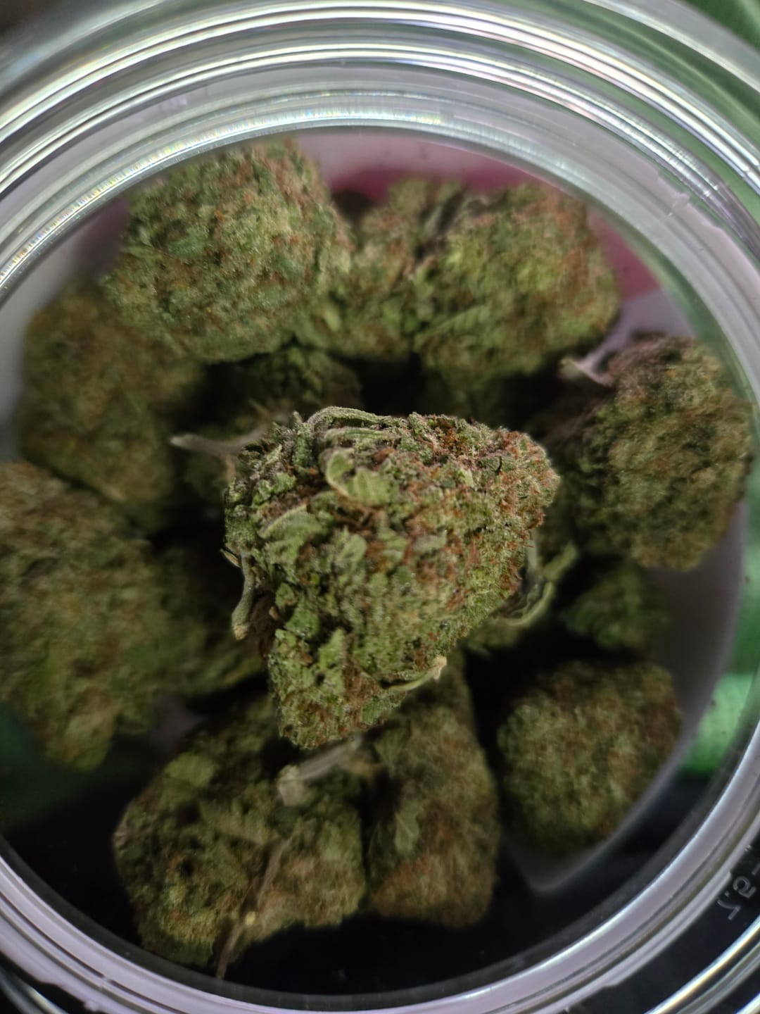 Customer photo review of Gorilla Glue THCA Flower