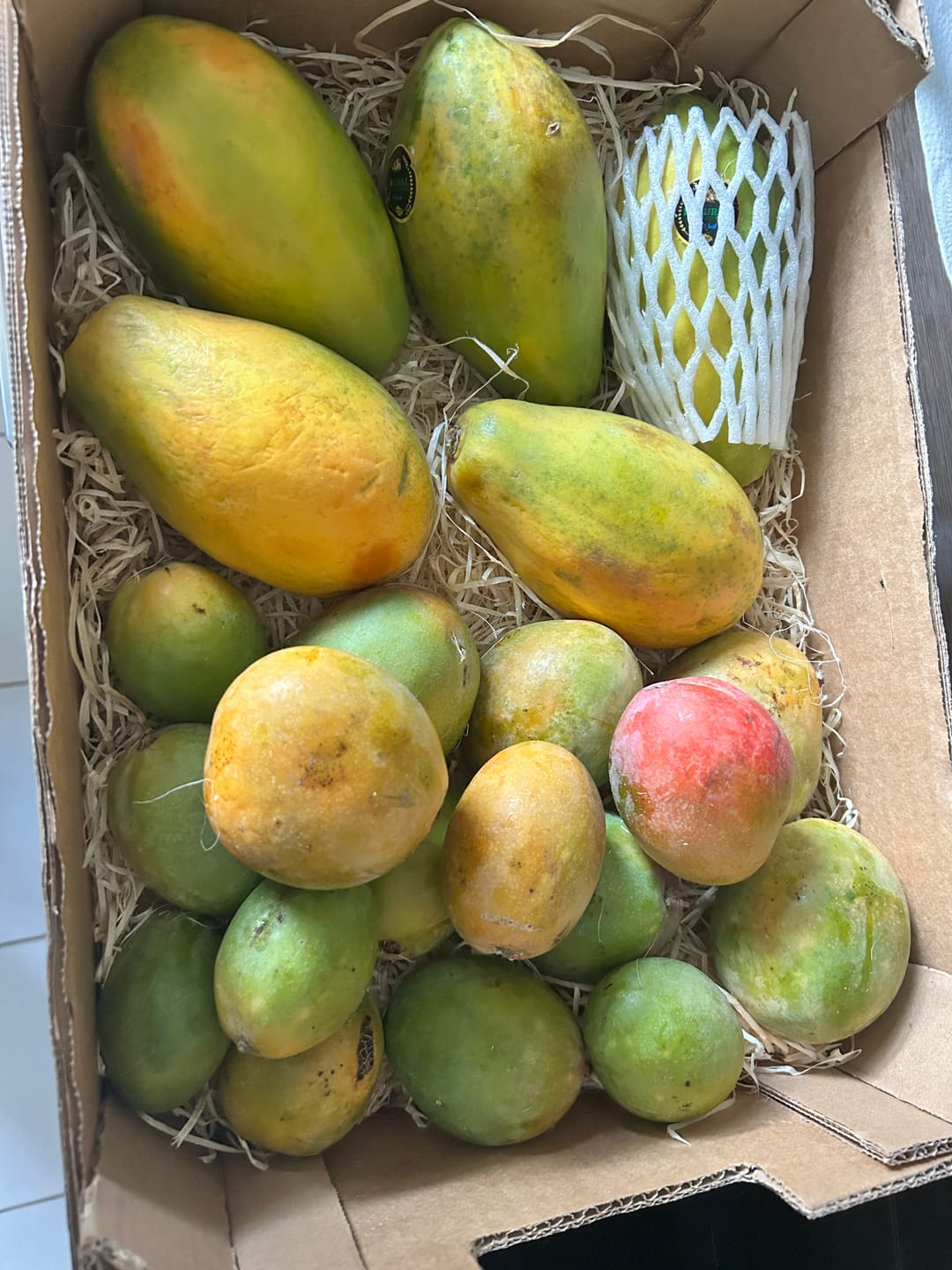 Customer photo review of Papaya Baby "Golden" (Stk. ca. 500g)