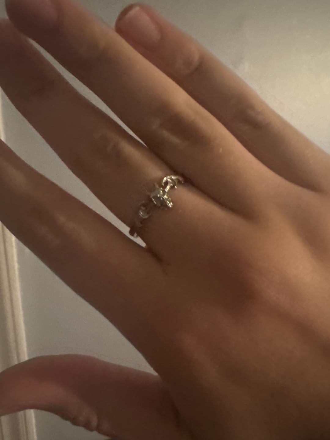 Customer photo review of MINI RINGS
