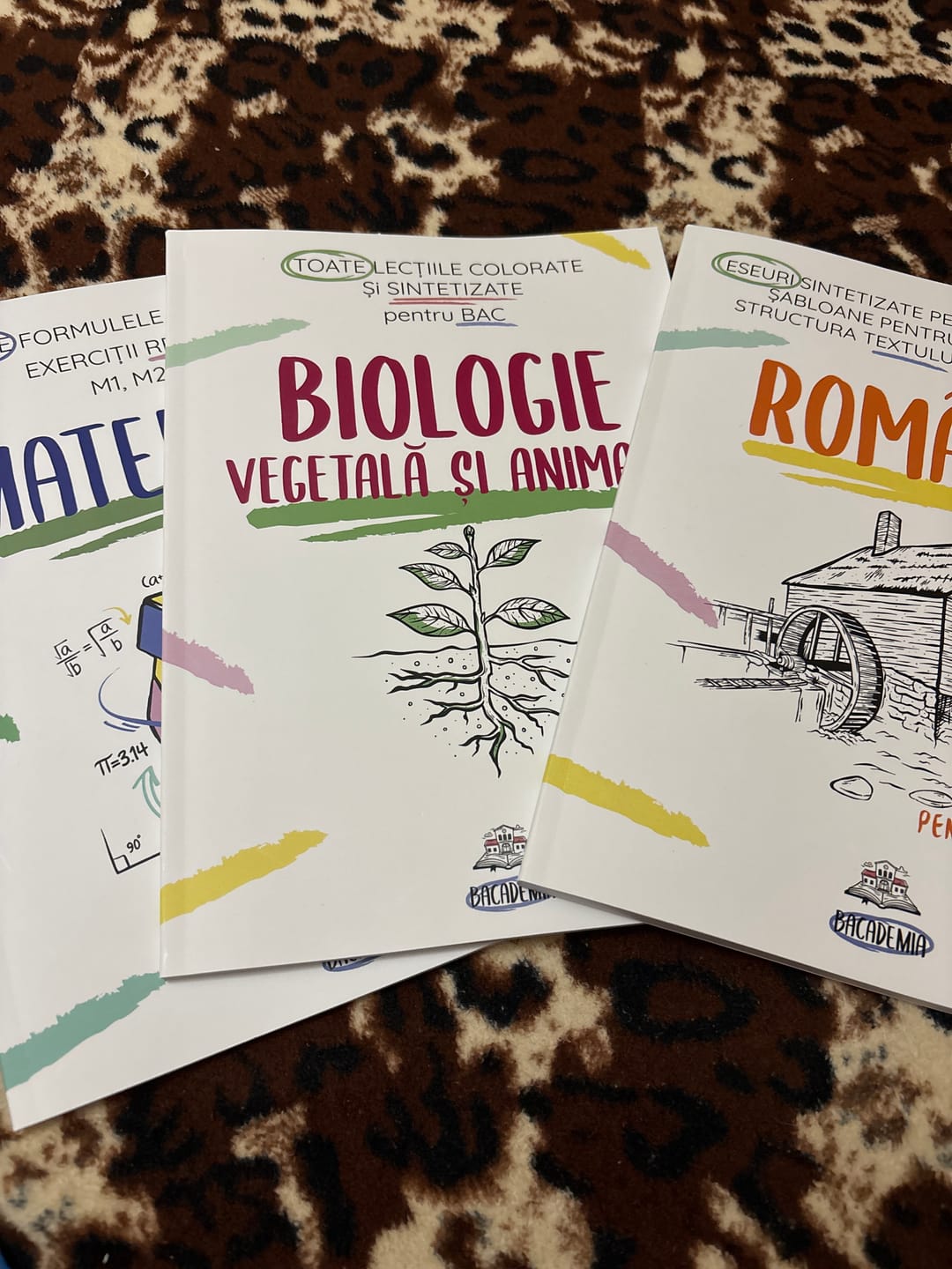 Customer photo review of Pachet Bacalaureat (Română + Matematică + Biologie Vegetală și Animală clasele IX-X) Bacademia