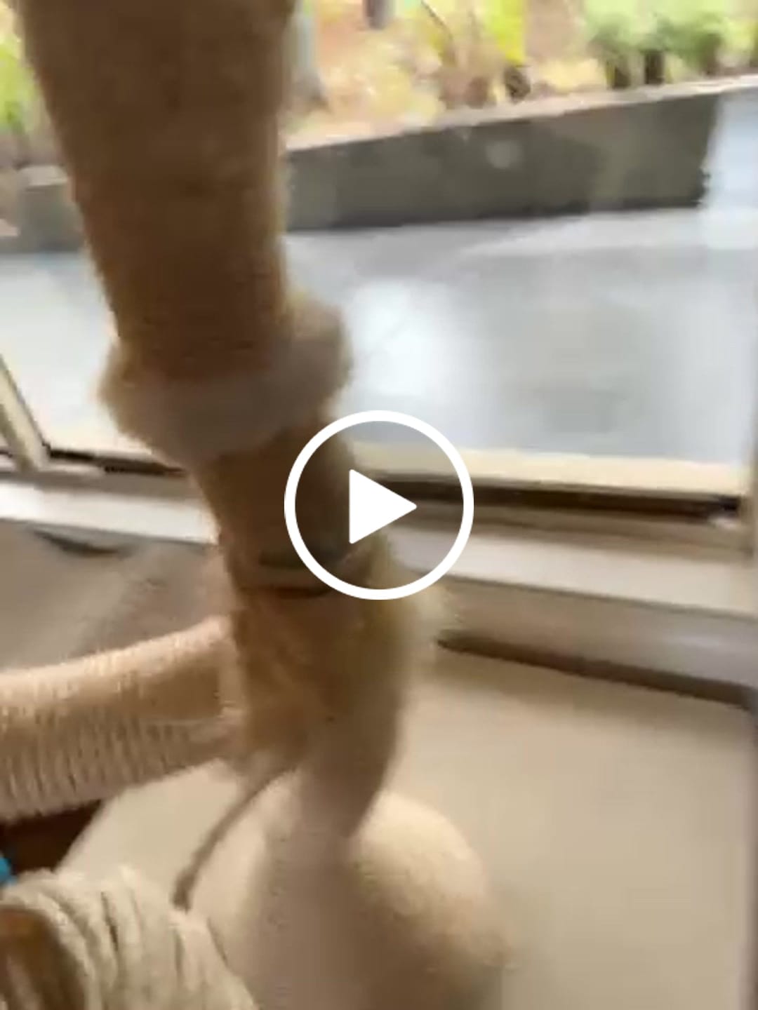 Customer video review of MICHU Cat Tree Repair Rope – 30m