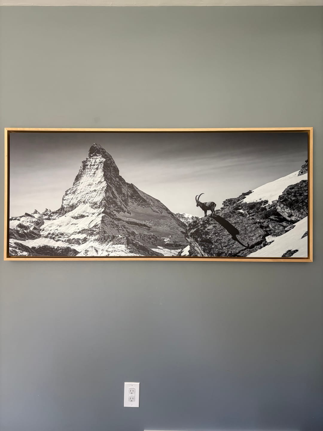 Customer photo review of Ibex Before the Matterhorn | Art Object | US