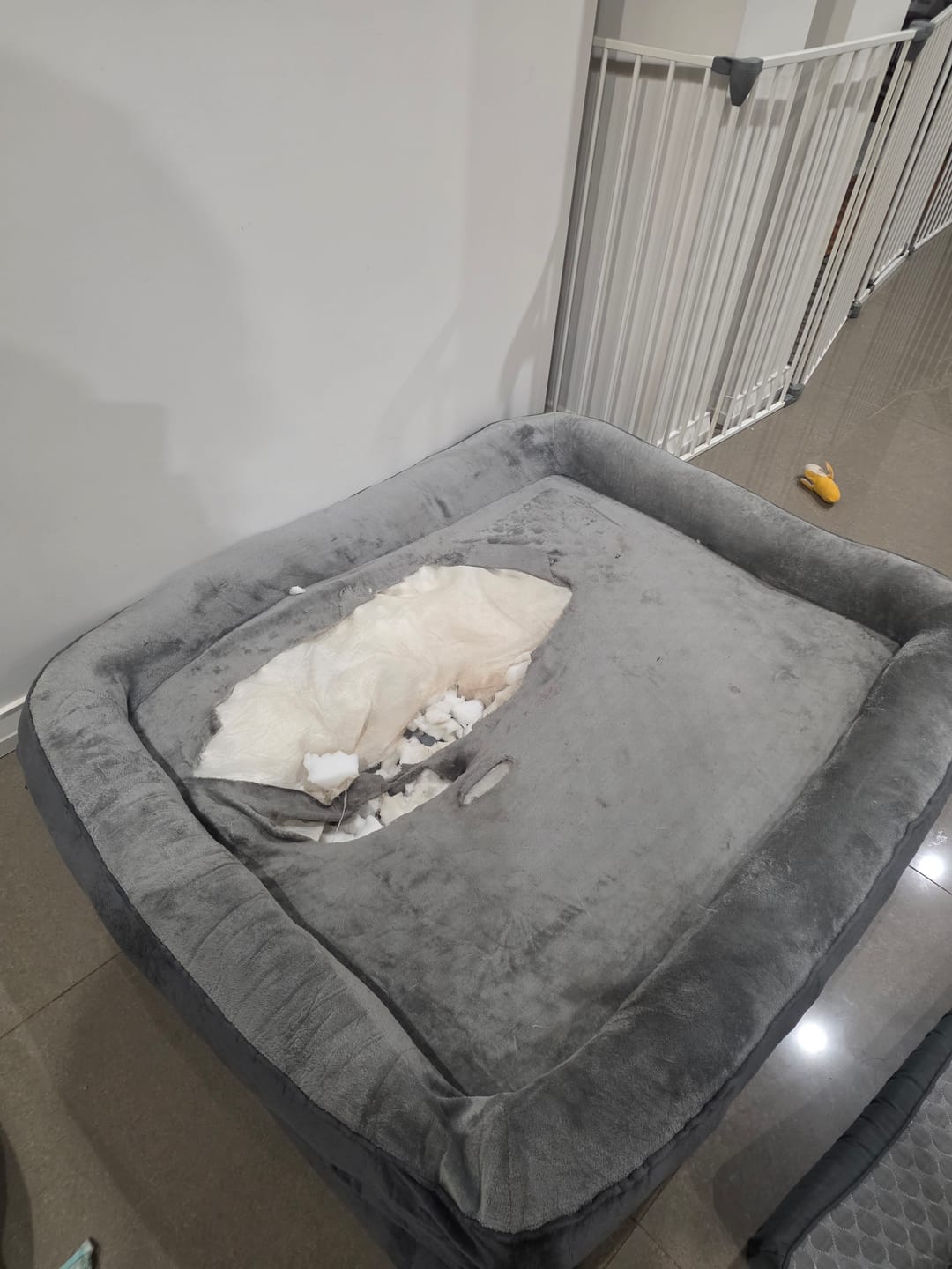 Customer photo review of PaWz Large Dog Bed Orthopedic Dog Bed Bolstered Support Flannel Velvet Grey