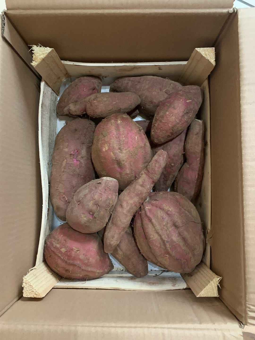 Customer photo review of Süsskartoffel violett "Okinawa" Bio Demeter aus Italien