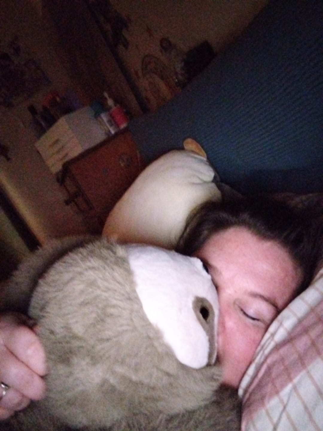 Customer photo review of Weighted Plush Animals