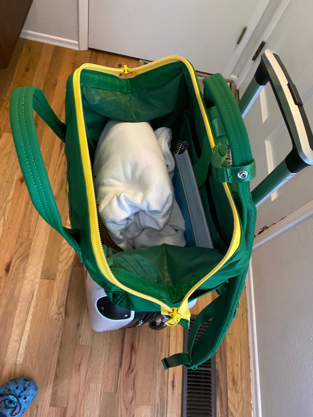 Customer photo review of Cascade Backpack - Standard - UO Ducks