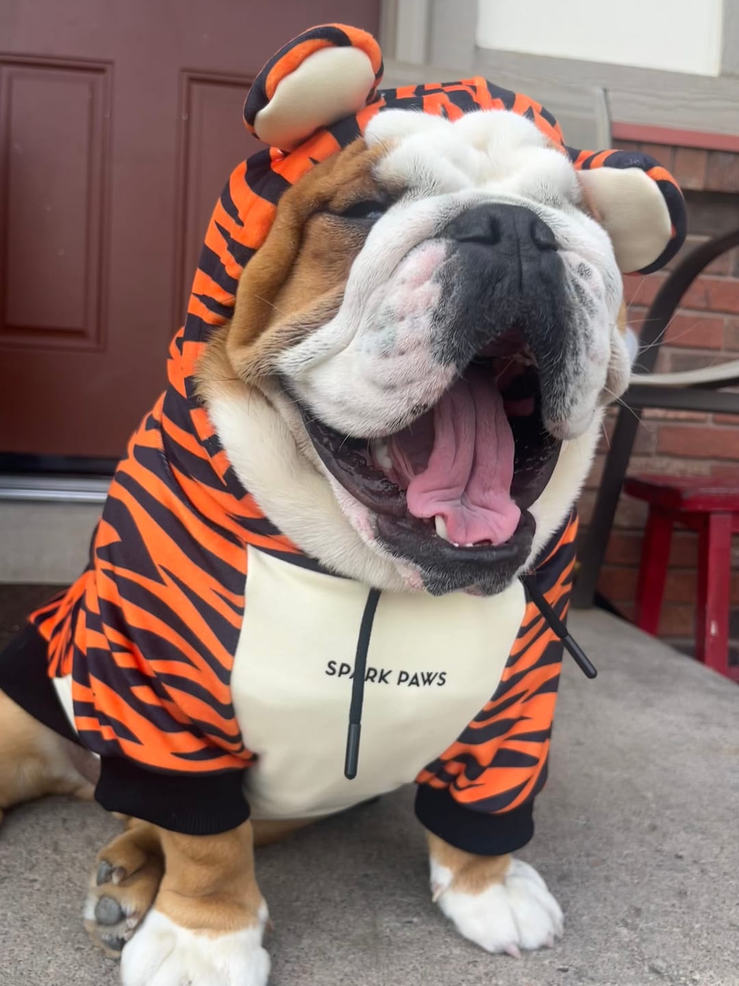 Customer photo review of Halloween Dog Hoodie - Tiger