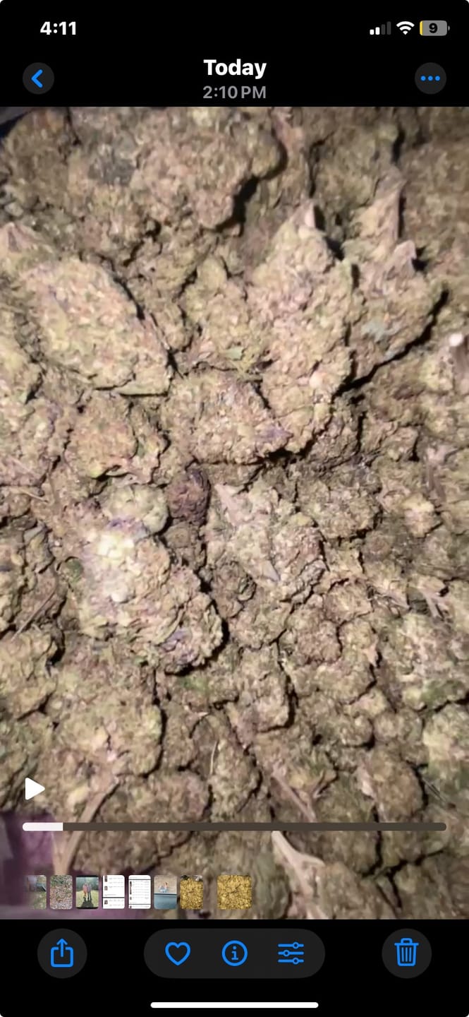 Customer photo review of THCA Queen
