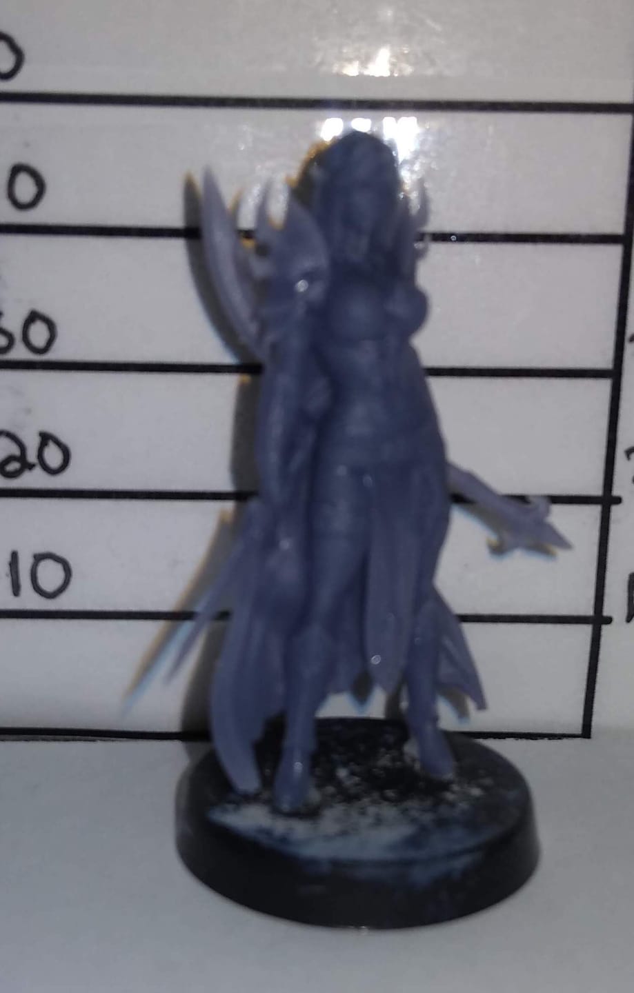 Customer photo review of Drasa, the Assassin