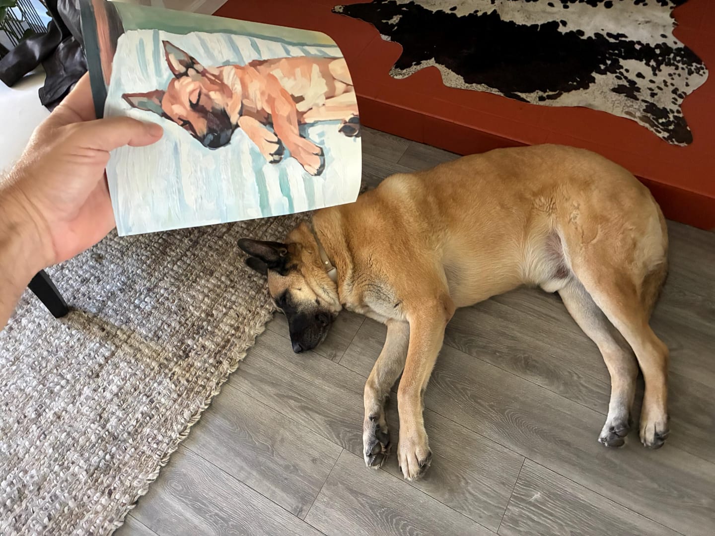 Customer photo review of German Shepherd Art Print